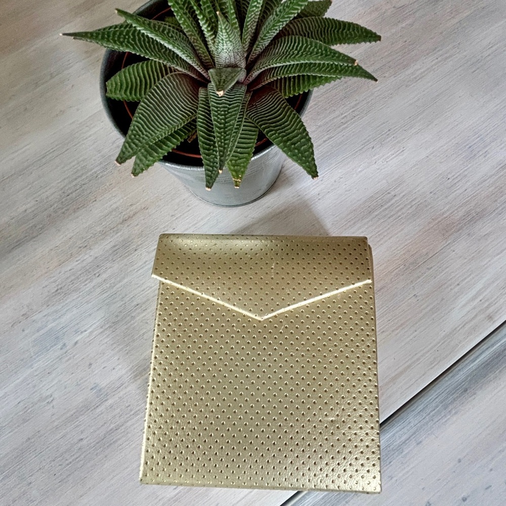 Mini Gold Nordstrom Travel Jewelry Case.
